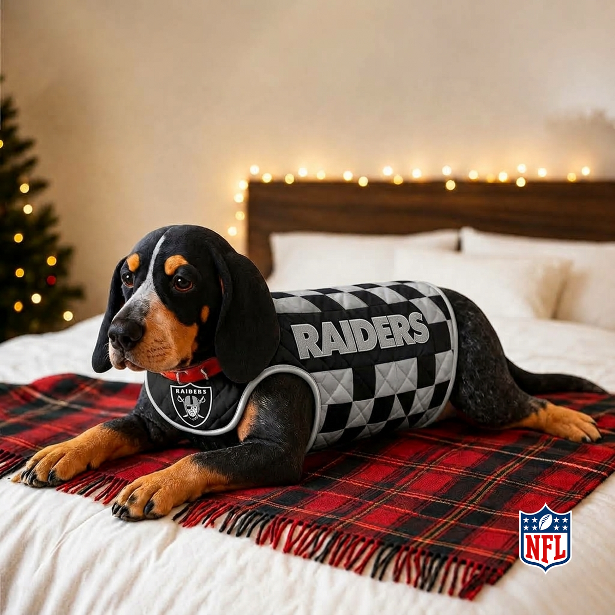 LVR x NFL LUXURIOUS PLUSH PILLOW