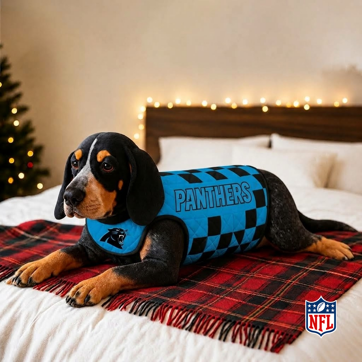 CAR x NFL LUXURIOUS PLUSH PILLOW